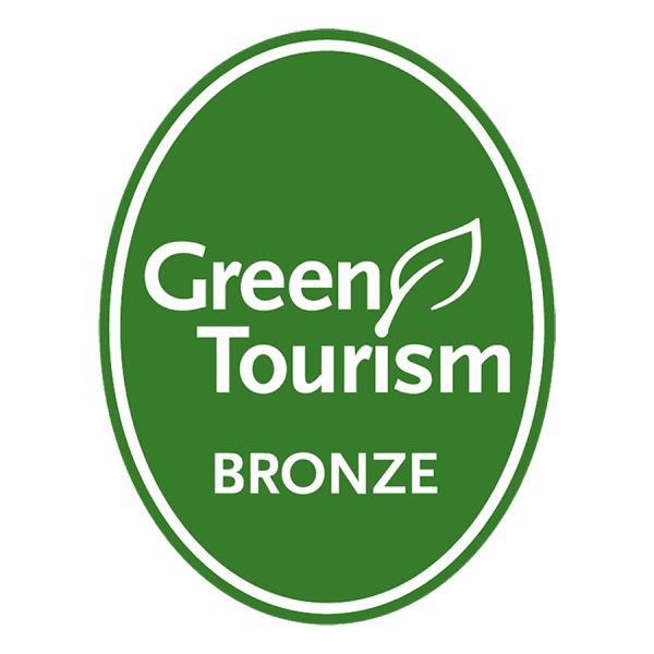 gt-generic-bronze-png.png ( GT-generic-bronze-pn) gt generic bronze png